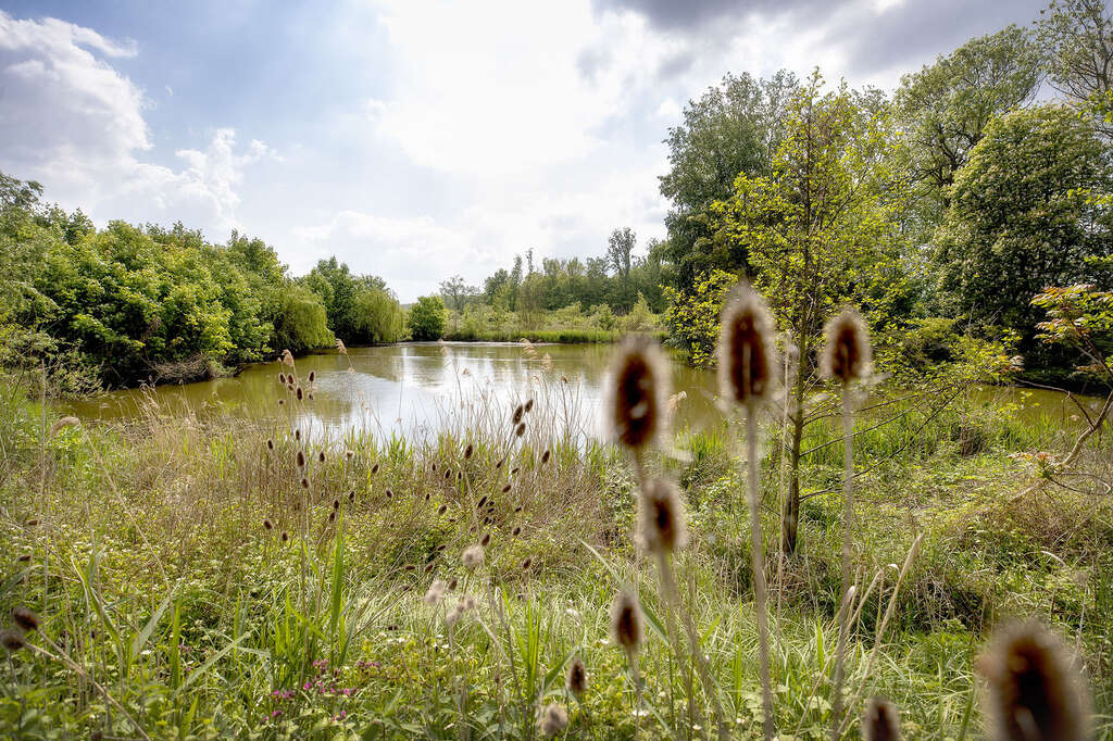 TOV Kruibeke De Polders 11 David Samyn