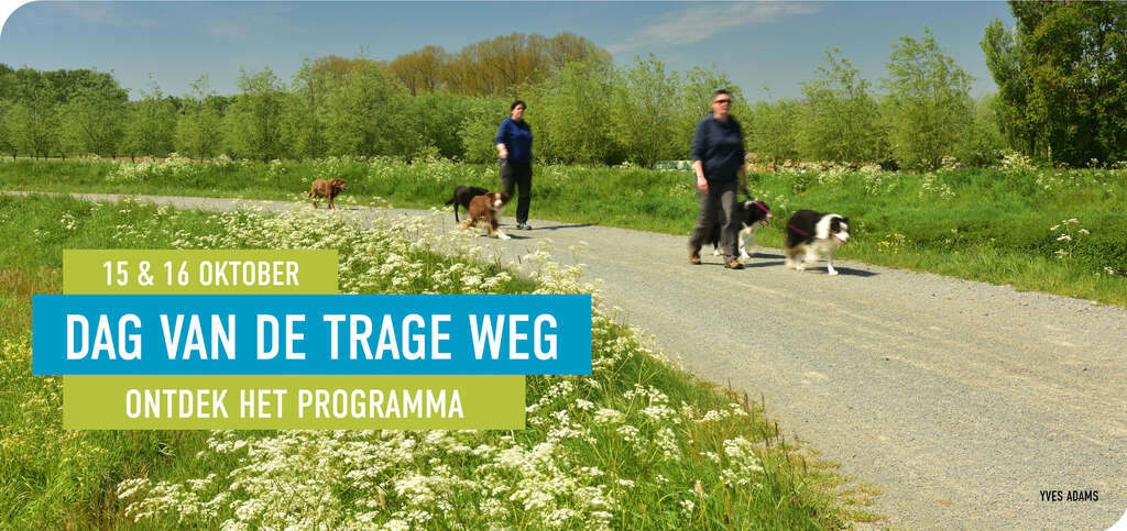 Trage weg