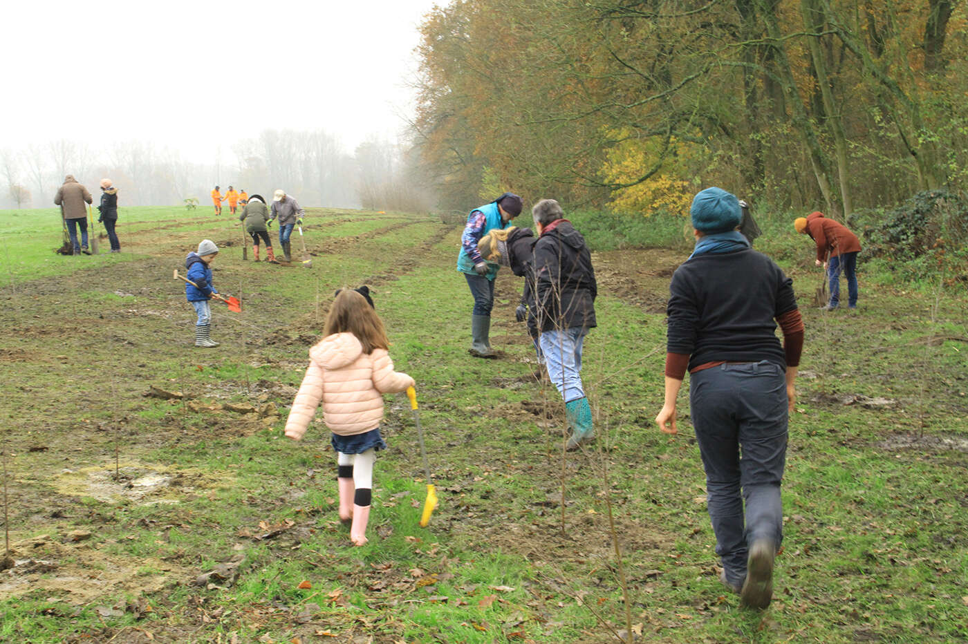 221130 Plantactie STROOMBOS 02 c Frederik Declercq