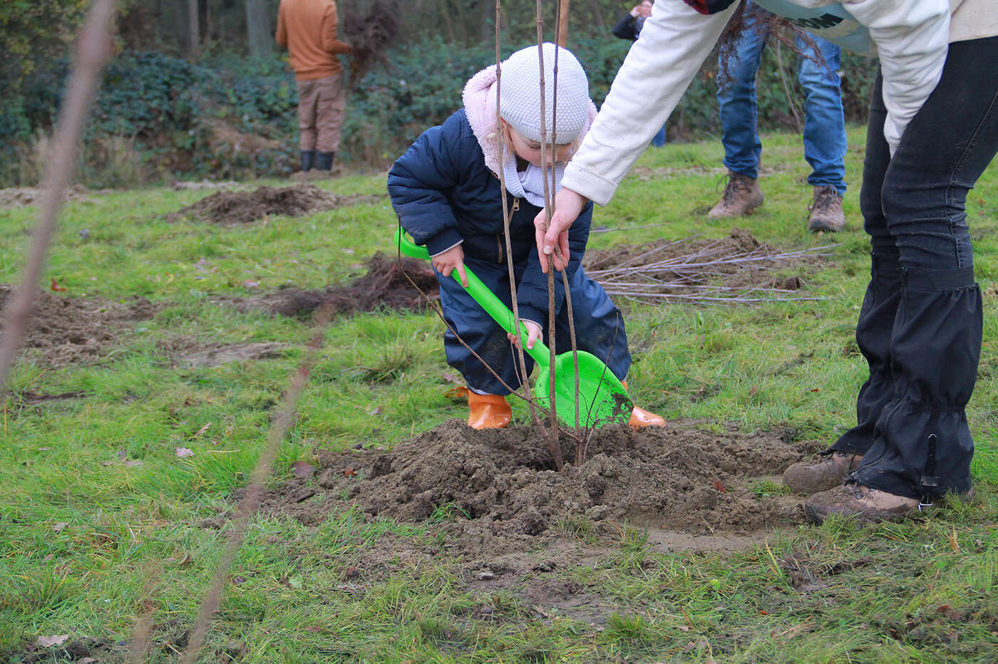 221130 Plantactie STROOMBOS 03 c Frederik Declercq