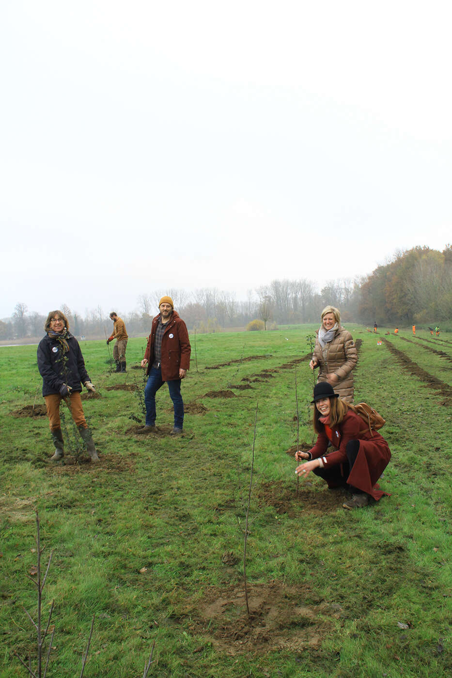 221130 Plantactie STROOMBOS 05 c Frederik Declercq