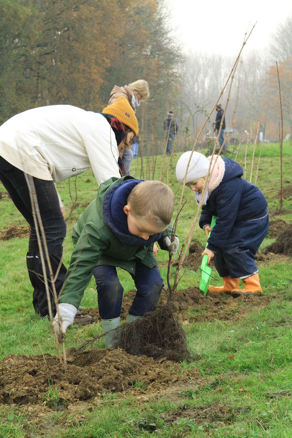 221130 Plantactie STROOMBOS 06 c Frederik Declercq