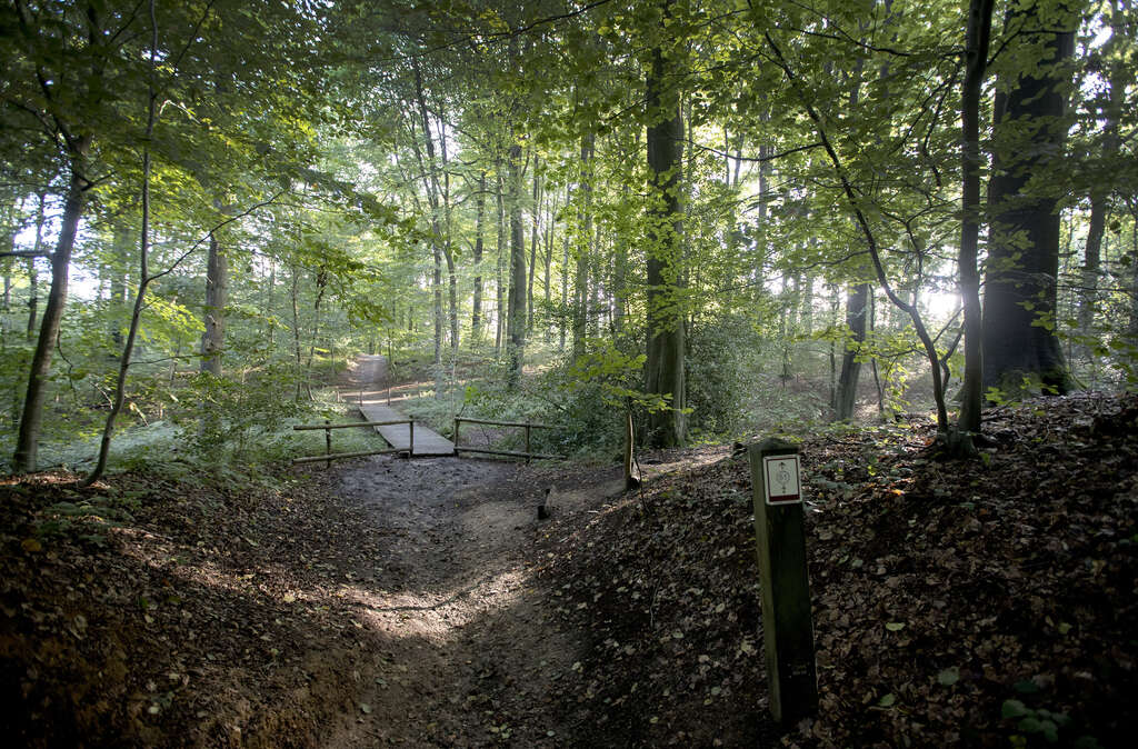 Taalgrensroutes Wandeling Vloesberg 13