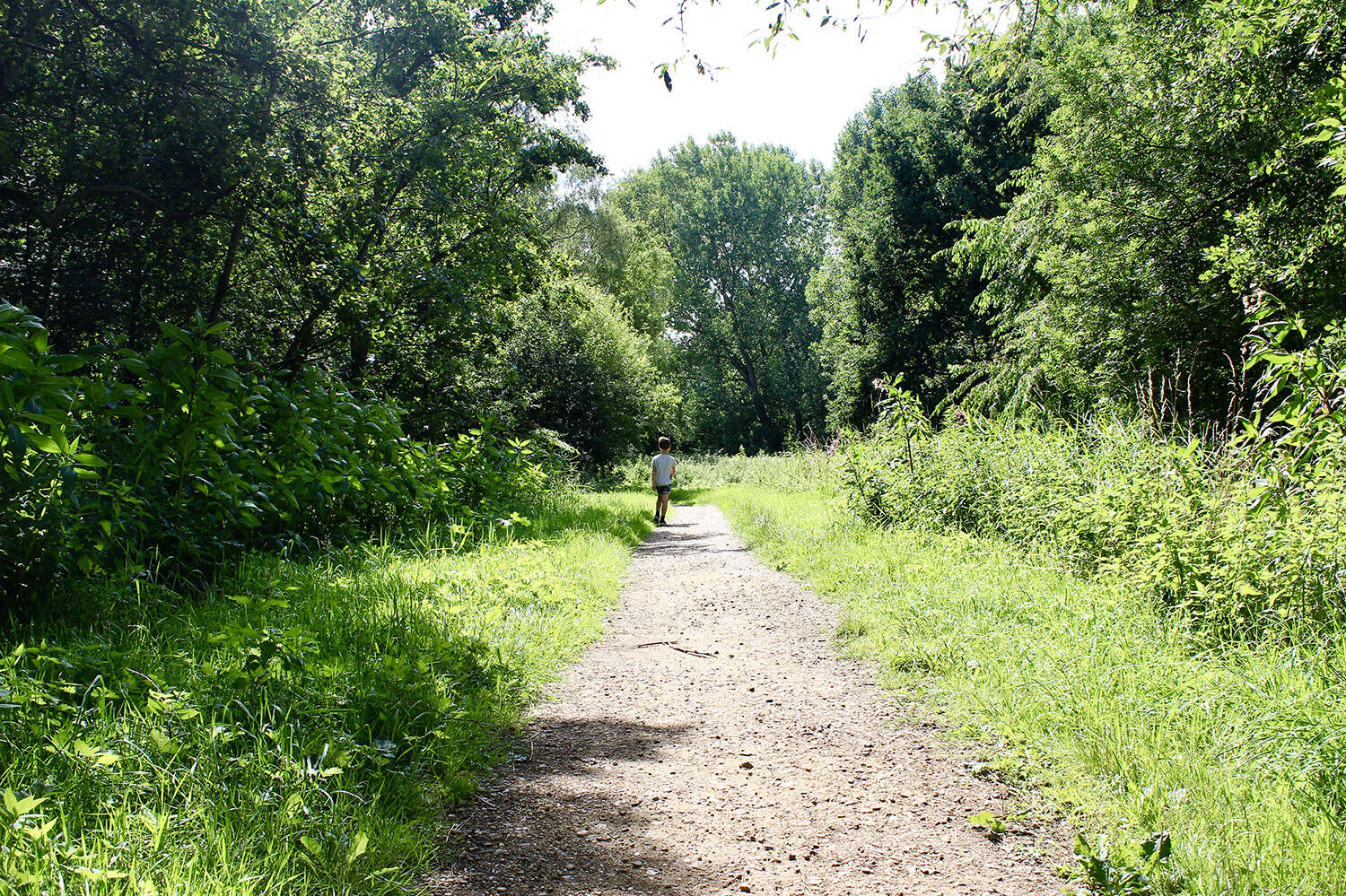 Blaasveldbroek 01 c Toerisme Scheldeland