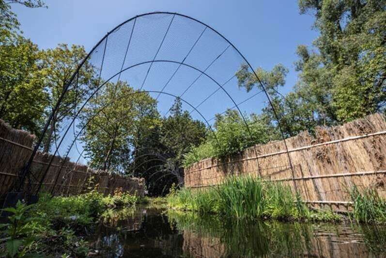 Eendenkooi c Stichting Kempens Landschap