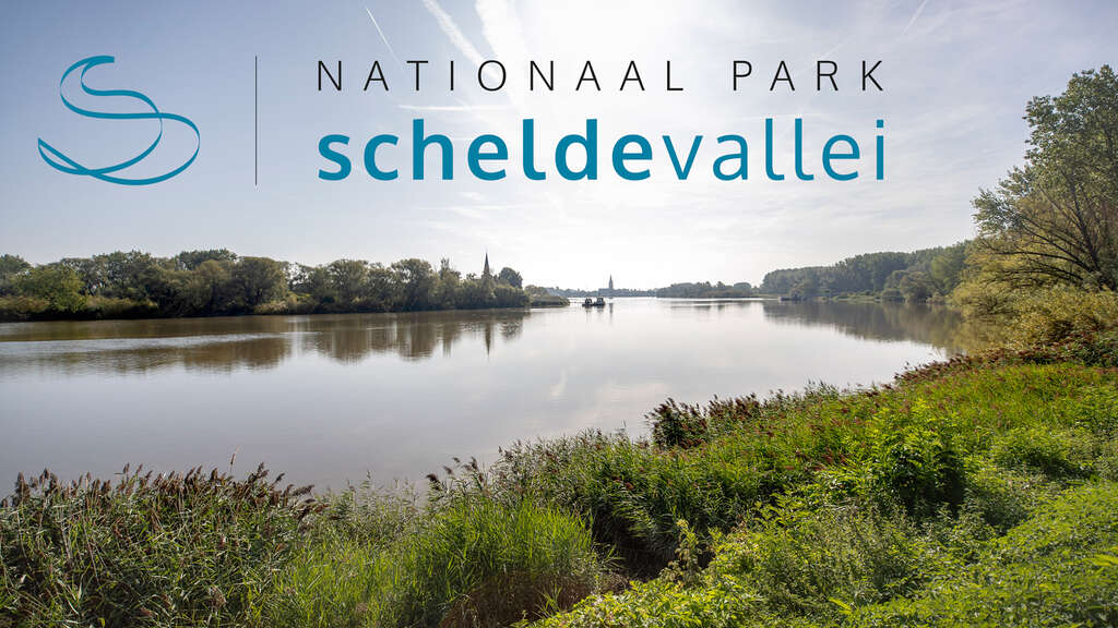NP Zicht op veerboot op Schelde en kerktorens Mariekerke en Sint Amands c Toerisme Scheldeland