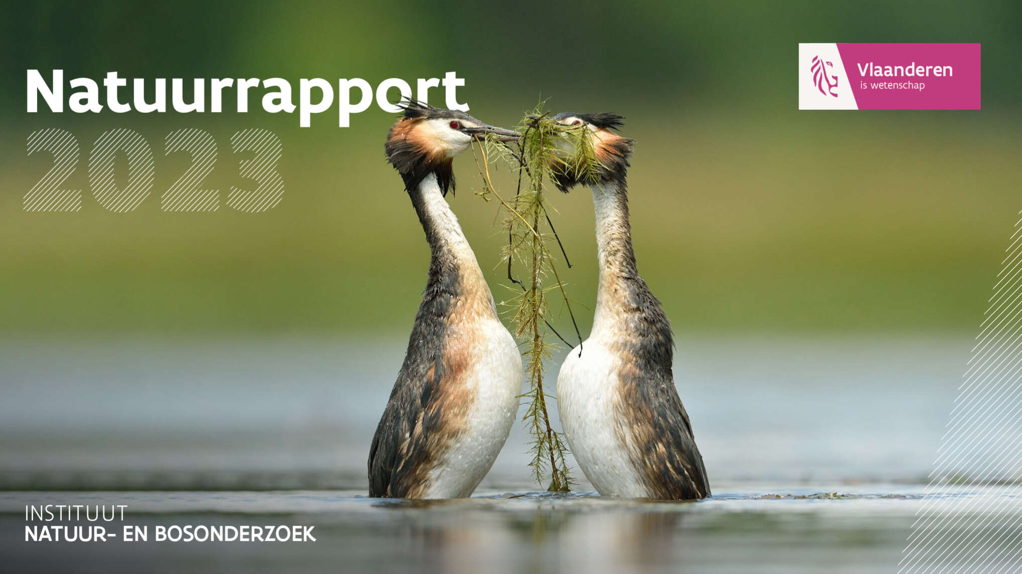 Natuurrapport