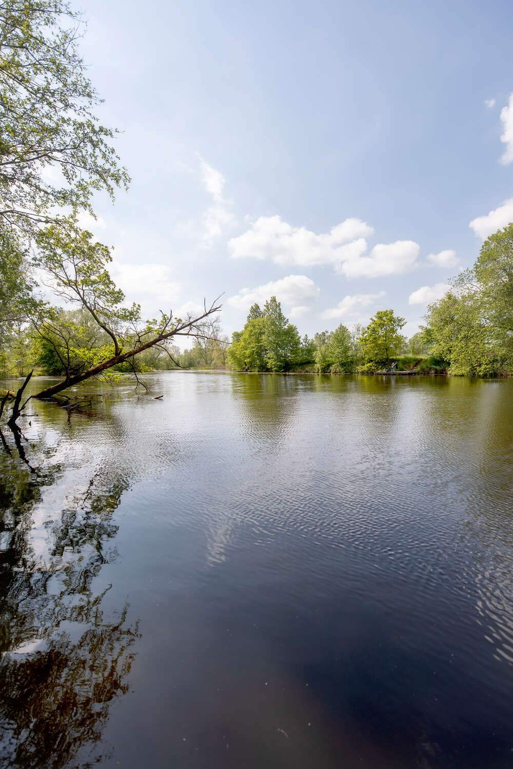 Polders van Kruibeke c tov WEB