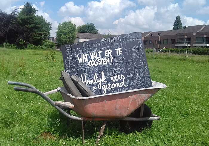 Wat valt er te oogsten