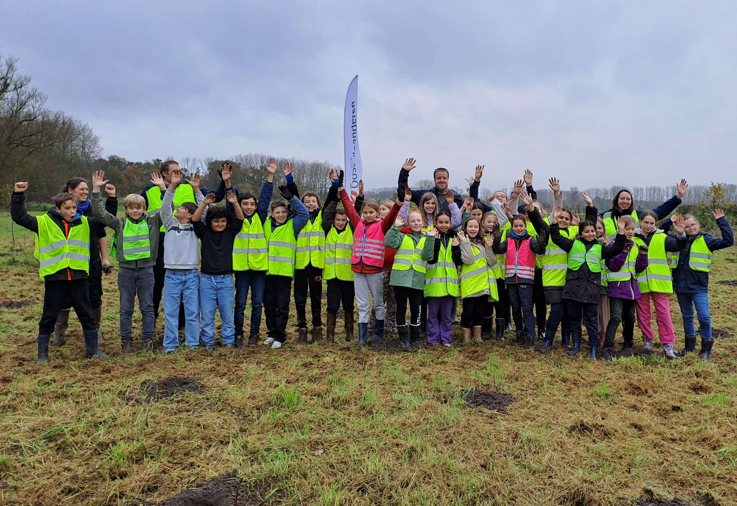 Bosaanplant Berlare 03
