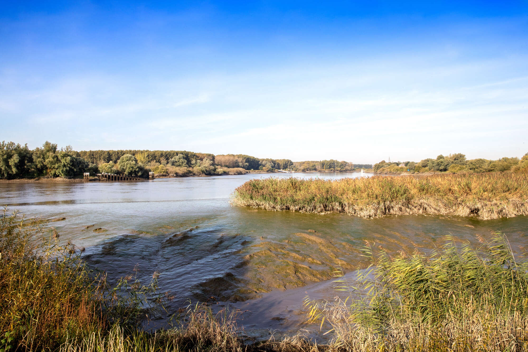Schelde stefaniefaveere be 096