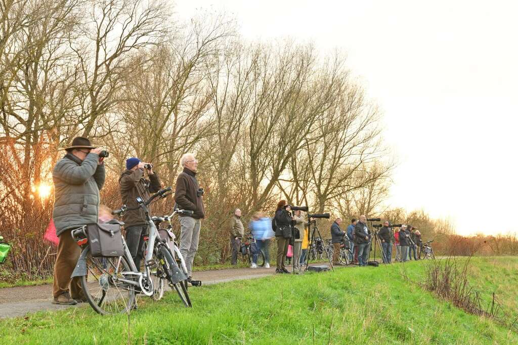 Vilda 150282 Yves Adams Vogelspotters en vogelfotografen