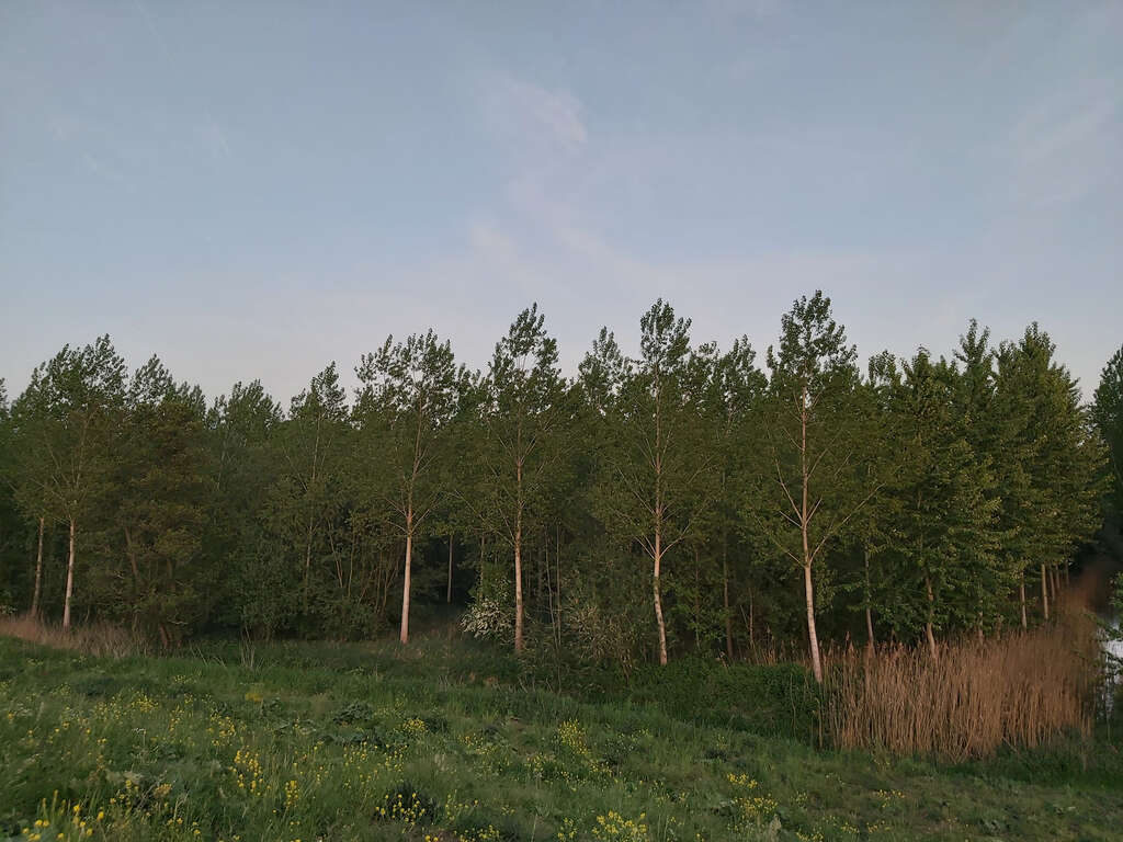 Hingenebroekpolder 2 An W