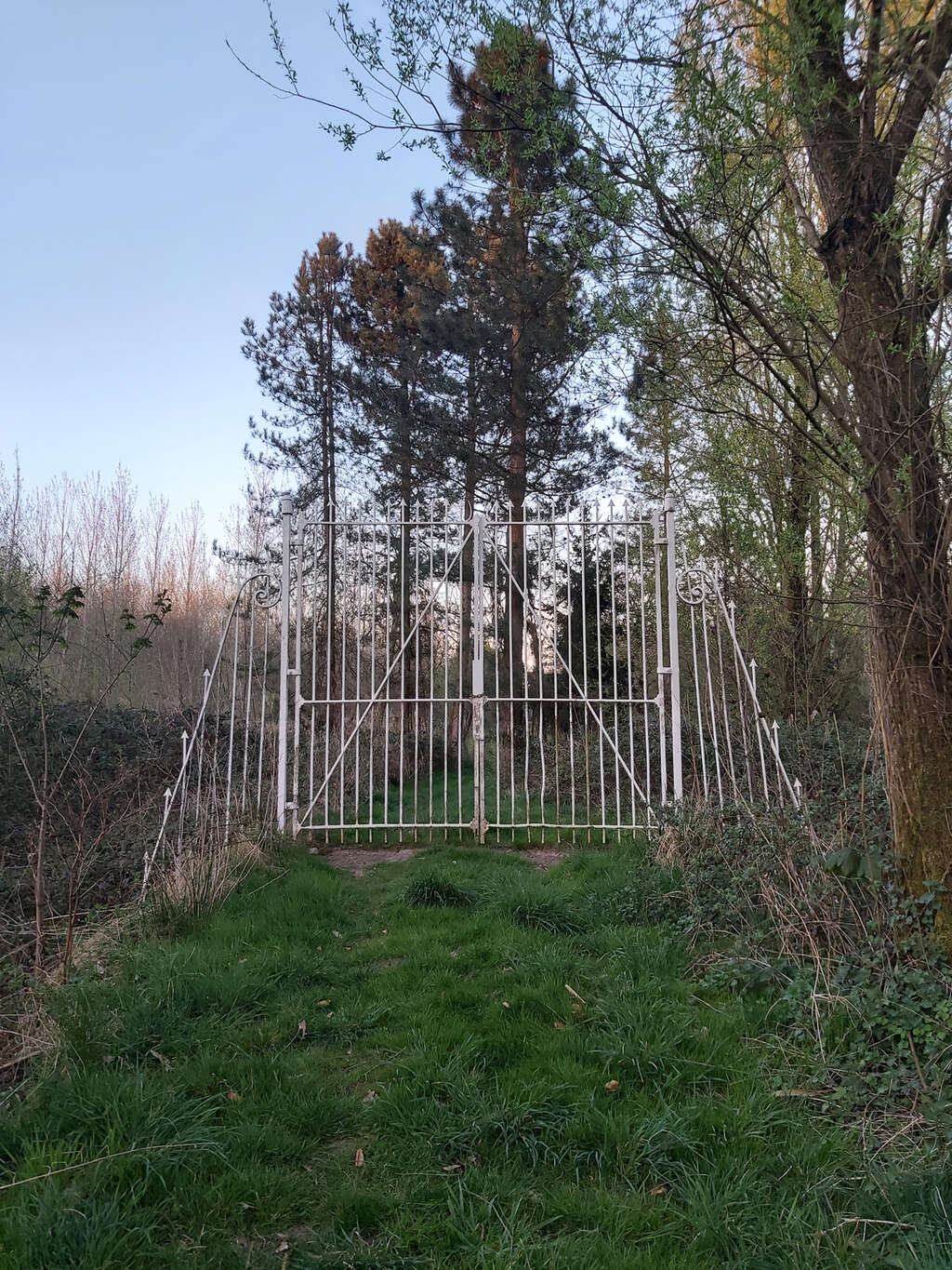 Hingenebroekpolder An W