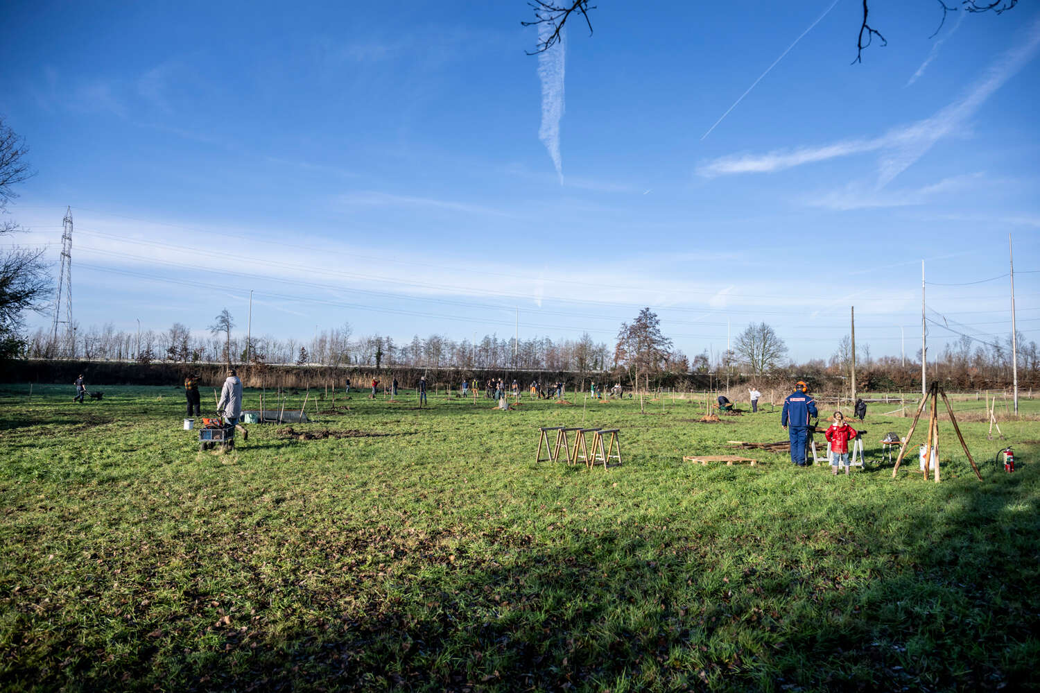 20260117 023bos beiaard