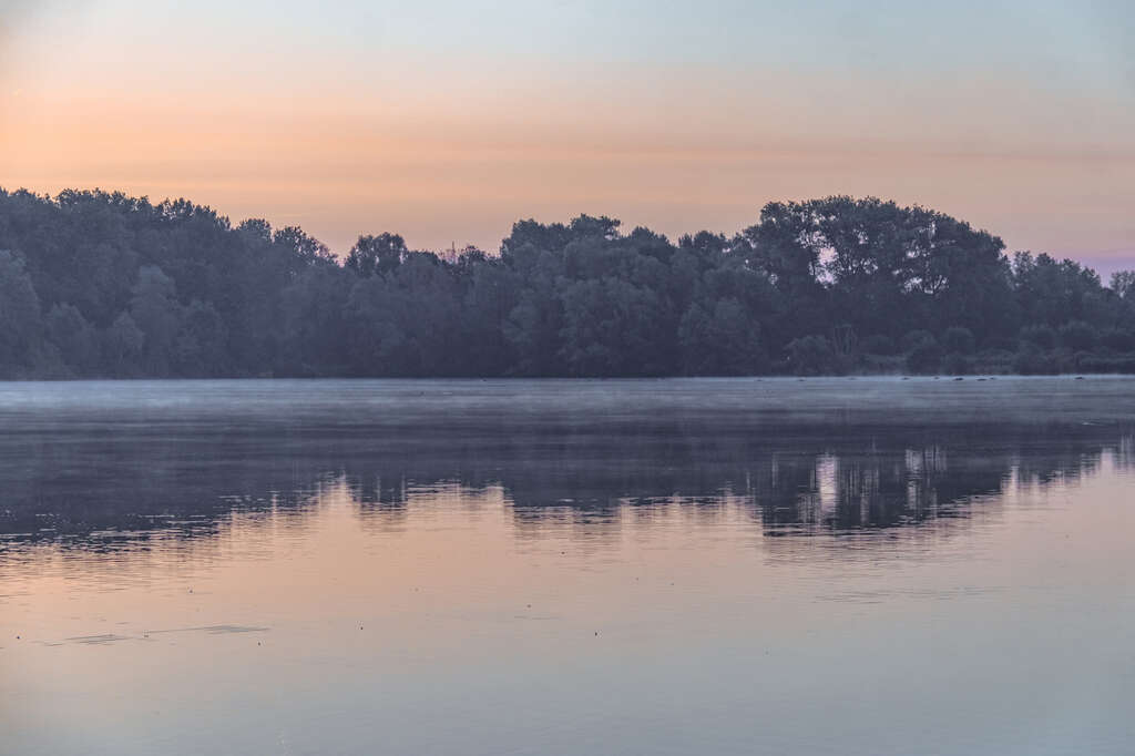 Damvallei Tijl De Meulemeester TOV