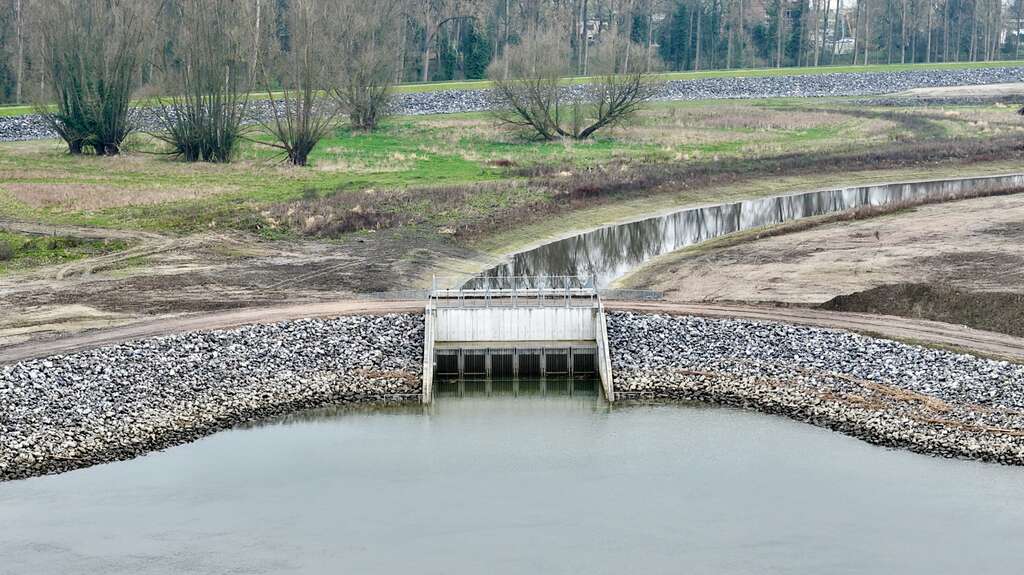 260310 Plantactie Ham 029