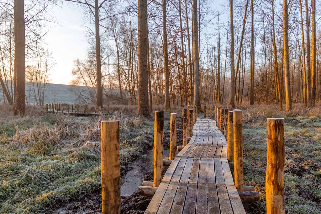 Tijl De Meulemeester Polders van Kruibeke 2025 02 02 4