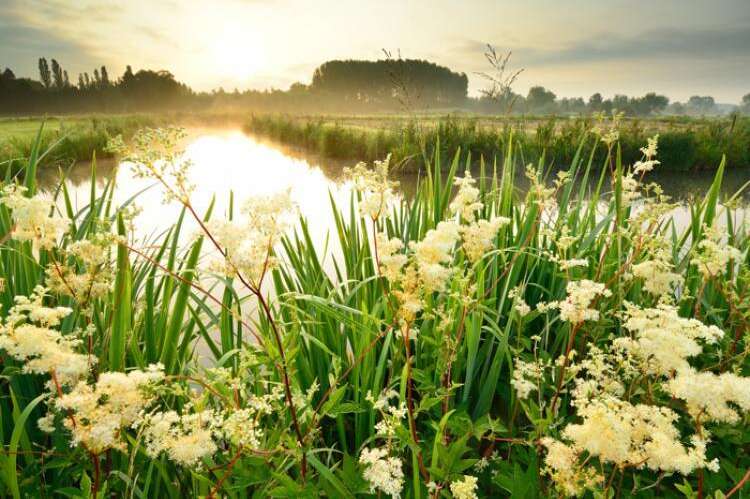 Natuurpunt schelde