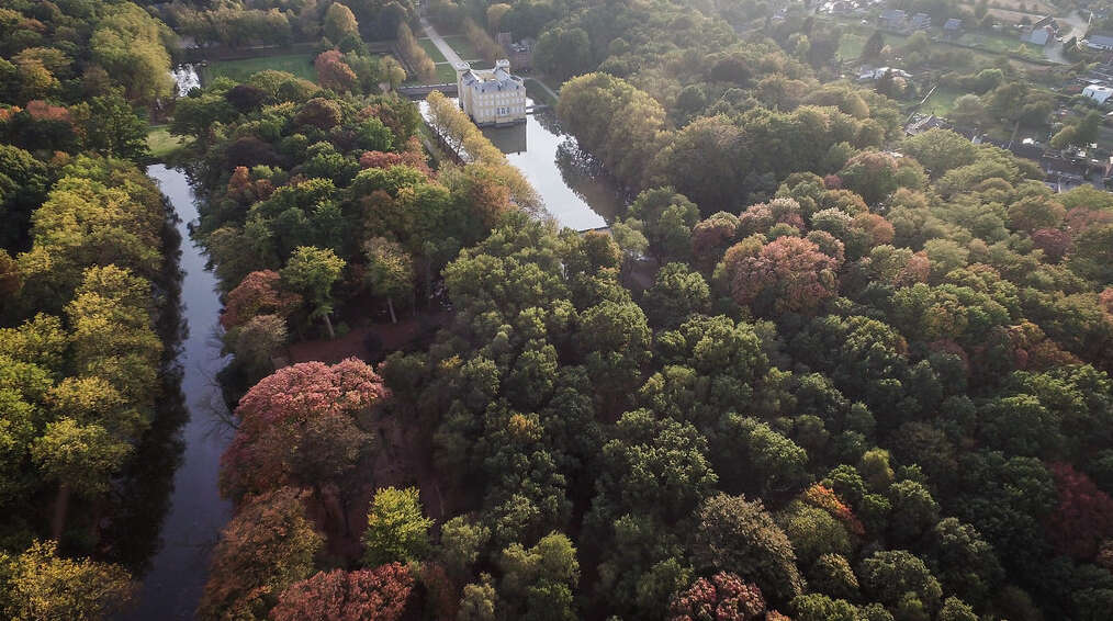 Kasteelbos d Ursel