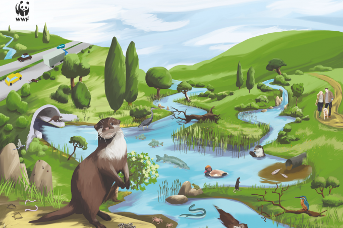 Poster Otter