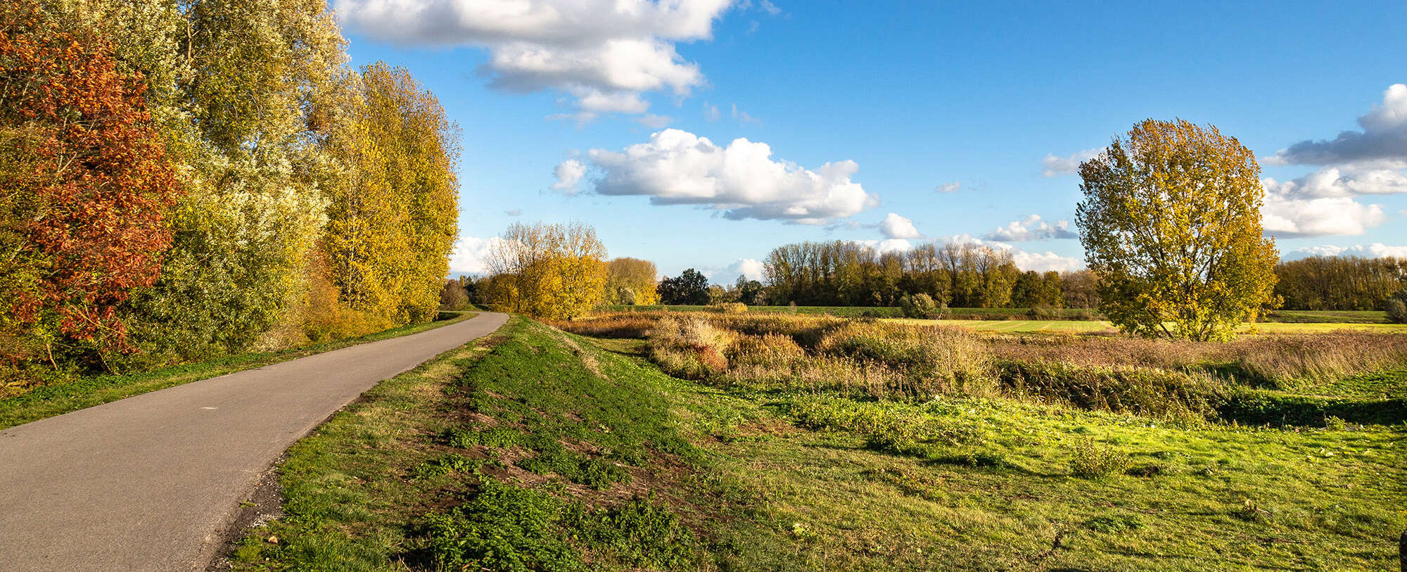 Dirk Wollaert Kalkense Meersen fotowedstrijd