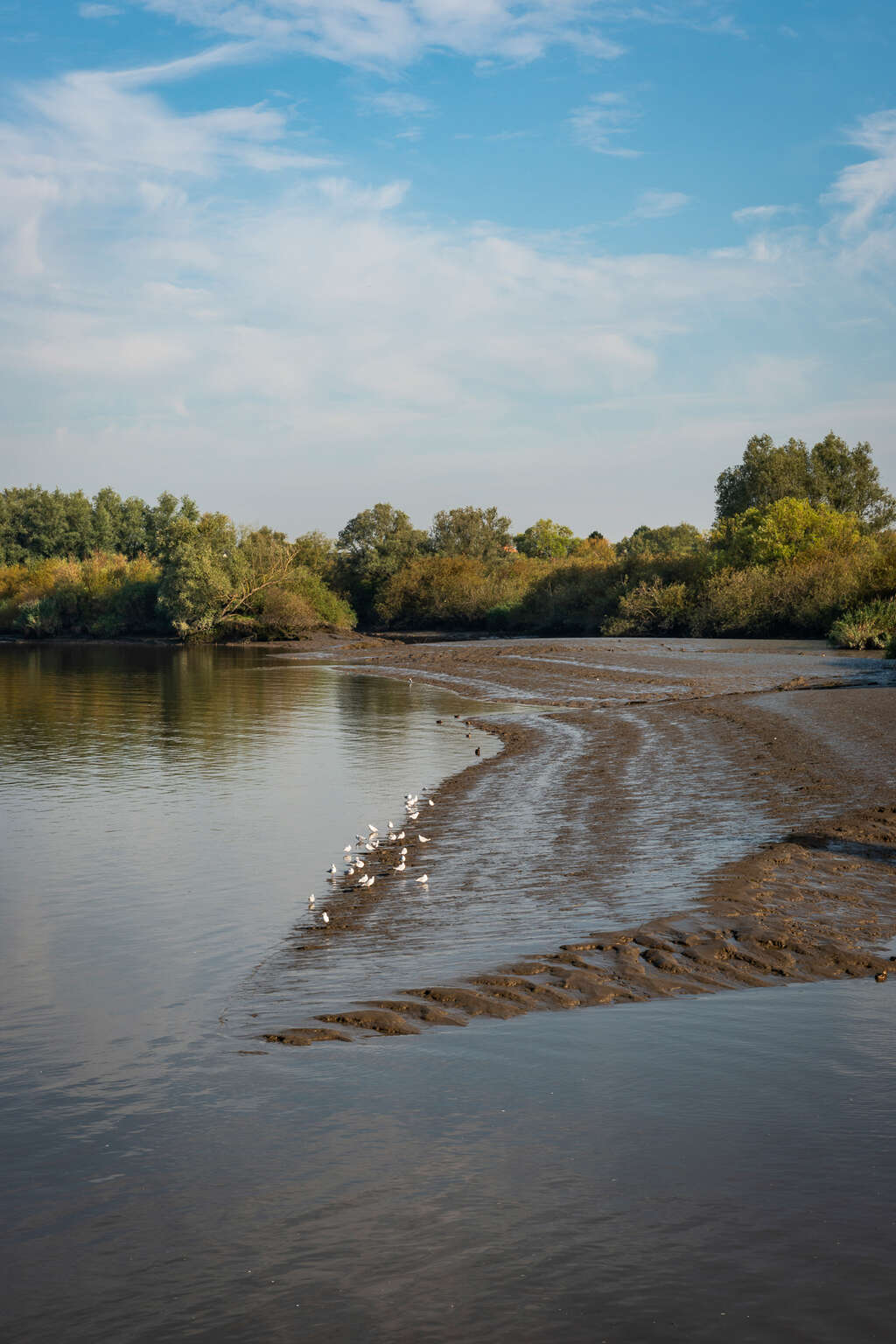 LR Scheldeland 2019 004 Mie De Backer Toerisme Scheldeland