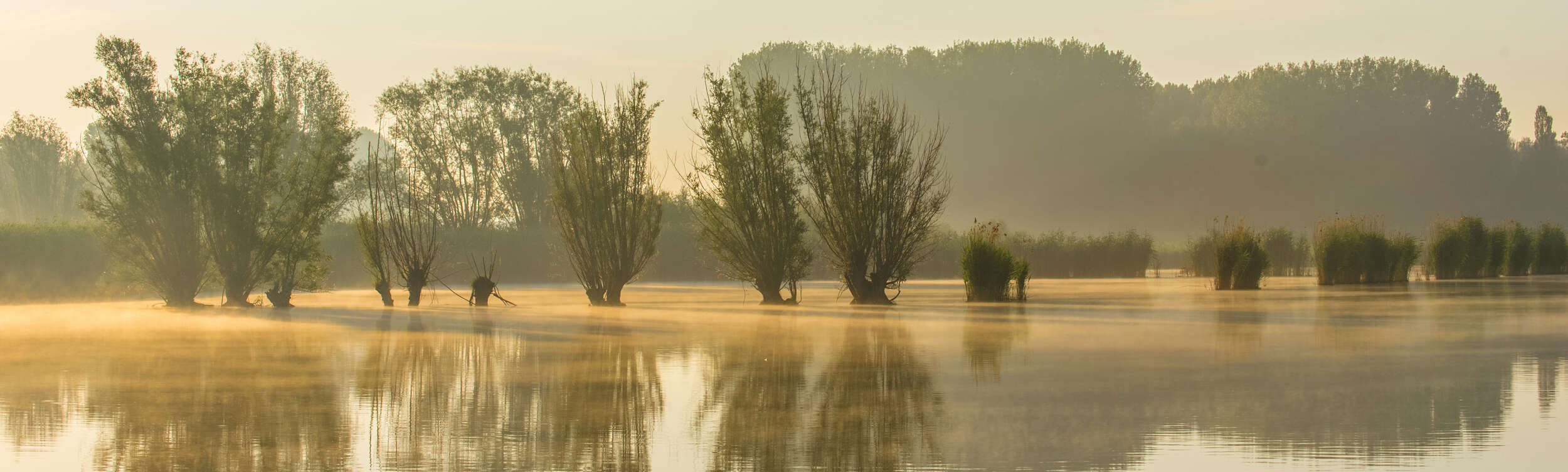 Wetlands Elke Schietse