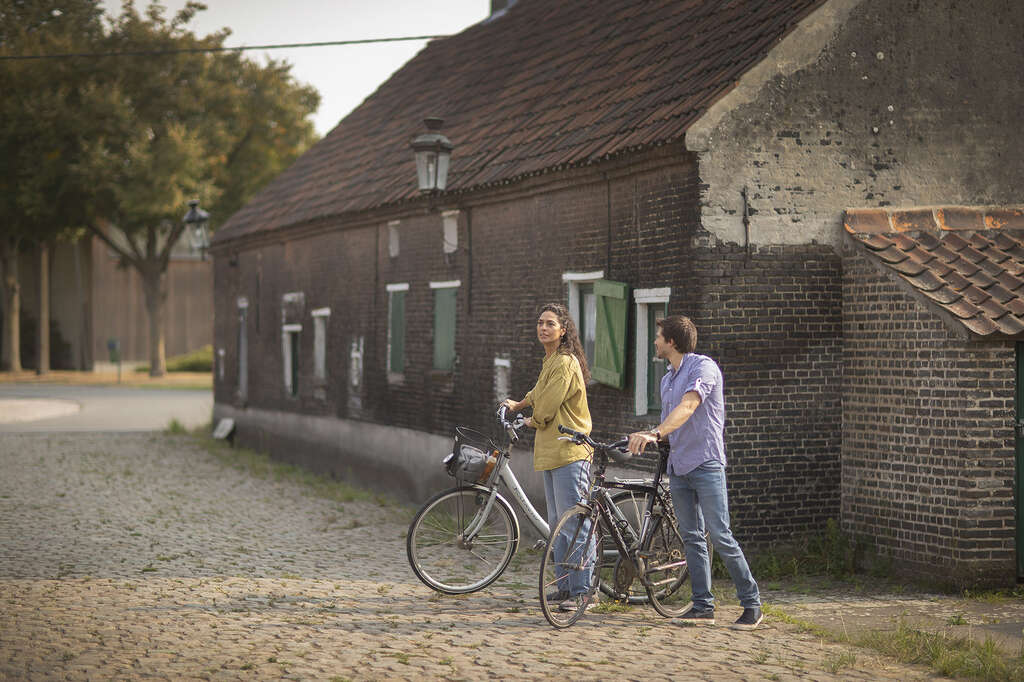 Boom EMABB 43 Noeveren David Samyn Toerisme Scheldeland
